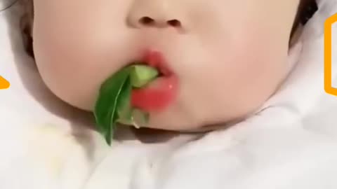 Vegetables Eating