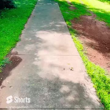 Walk your faith #shorts