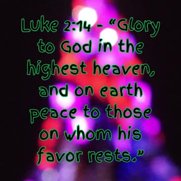 🎄 Countdown to Christmas: Day 12 - A Hopeful Beginning 🎄