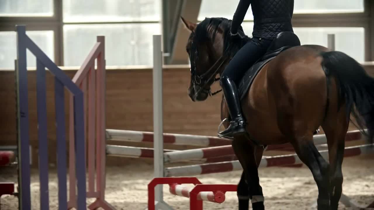 Young woman riding a horse on the indoors hippodrome