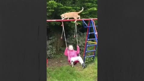 Swing Baby Girl with Jump Cat