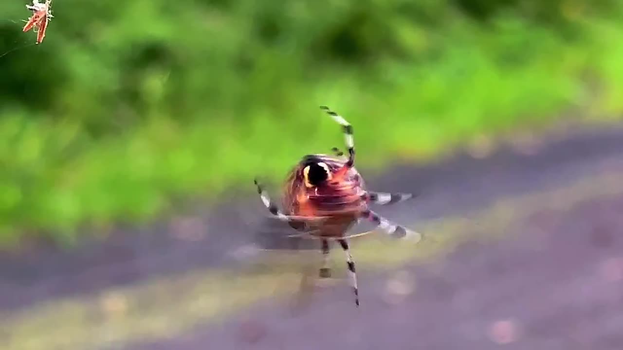 https://www.instagram.com/reel/CwVXU64omRk/?igshid=MzRlODBiNWFlZA==