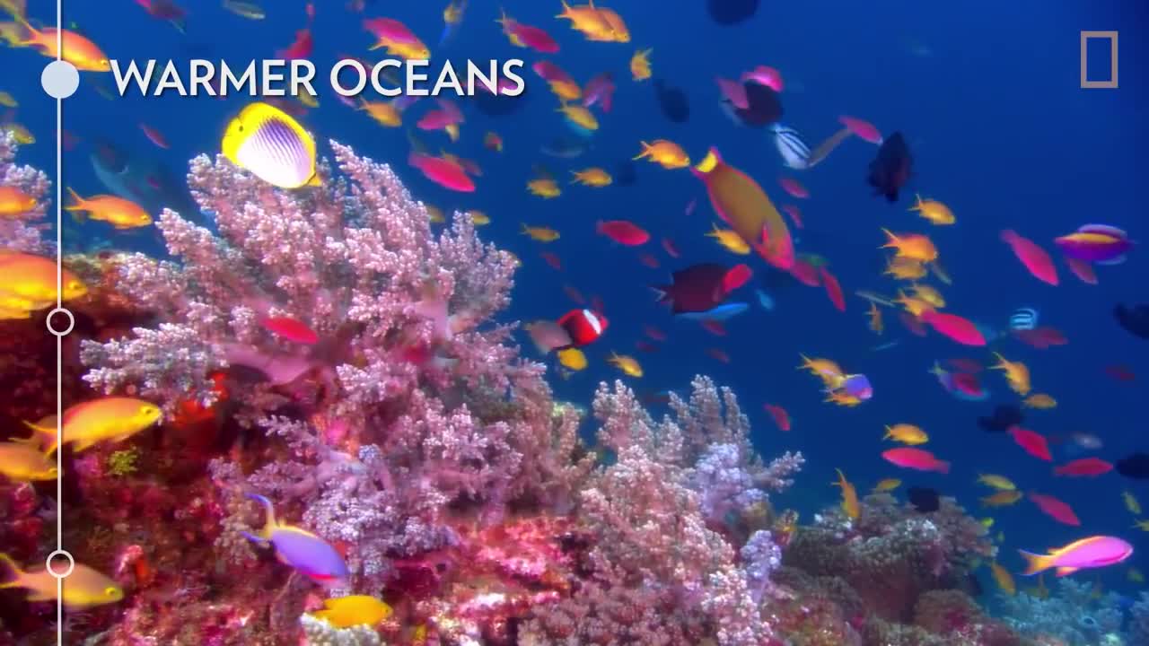 Oceans 101 _ National Geographic