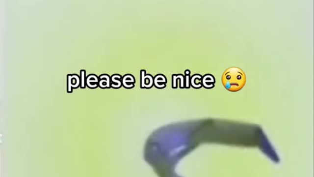 You are welcome to comment on me