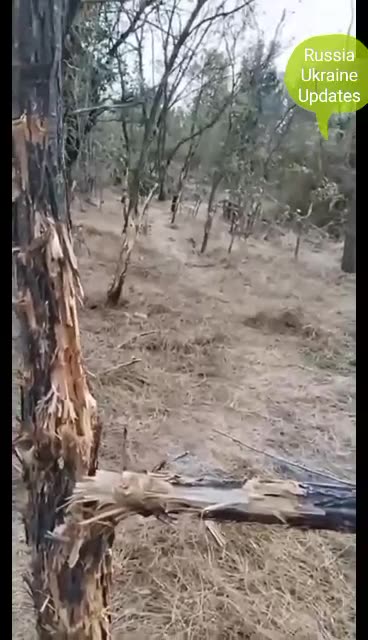 The Ukrainian military began to surrender en masse.