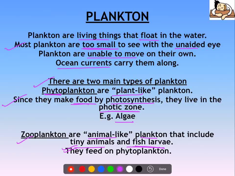 Environment and Ecology Lecture 9.1 - Marine Organisms