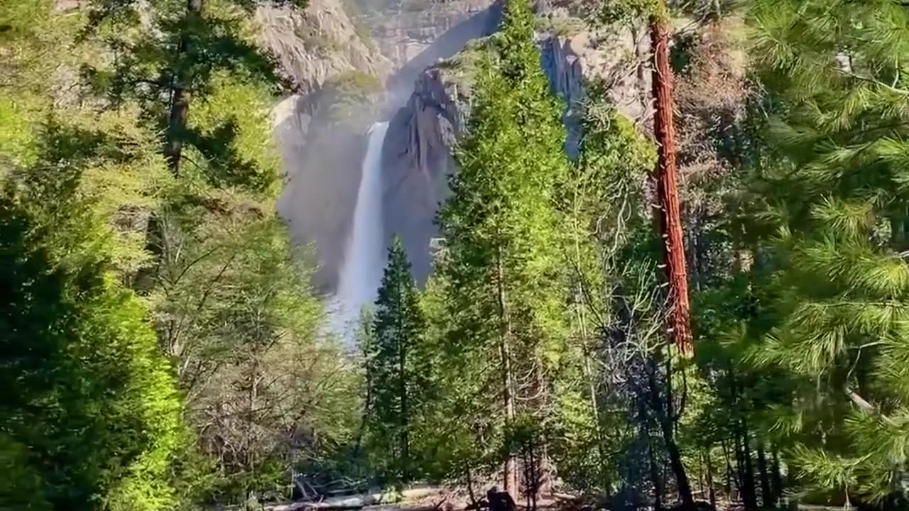 Take in The Breathtaking beauty of yosemite Falls