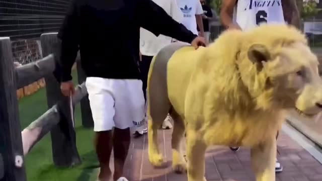 Mariano Díaz estuvo paseando leones en Dubái