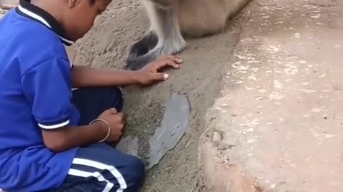 Mankey and kid
