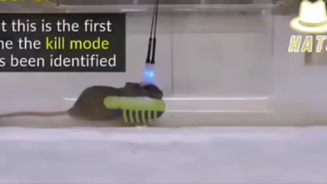 1854. 💀5G 🚨The Technology 2 Remotely Execute A Zombie Apocalypse 🚨