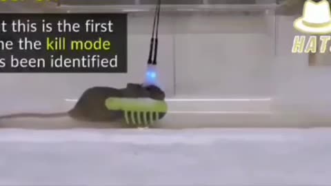 1854. 💀5G 🚨The Technology 2 Remotely Execute A Zombie Apocalypse 🚨