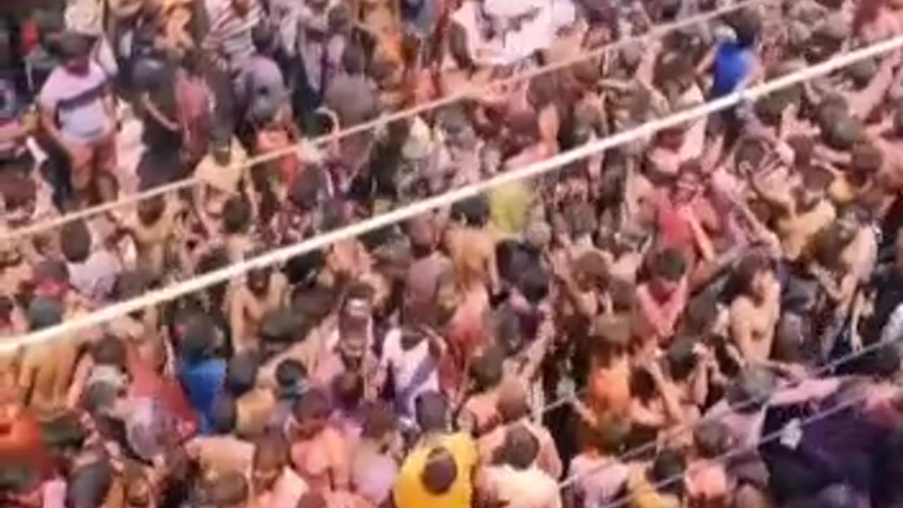 HOLI CELEBRATION IN INDIA !