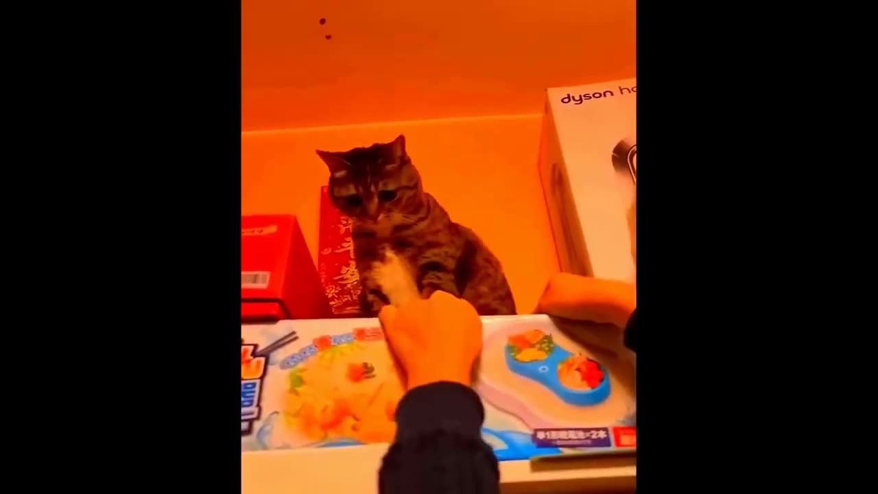 Animal funny video don't miss 😂😂