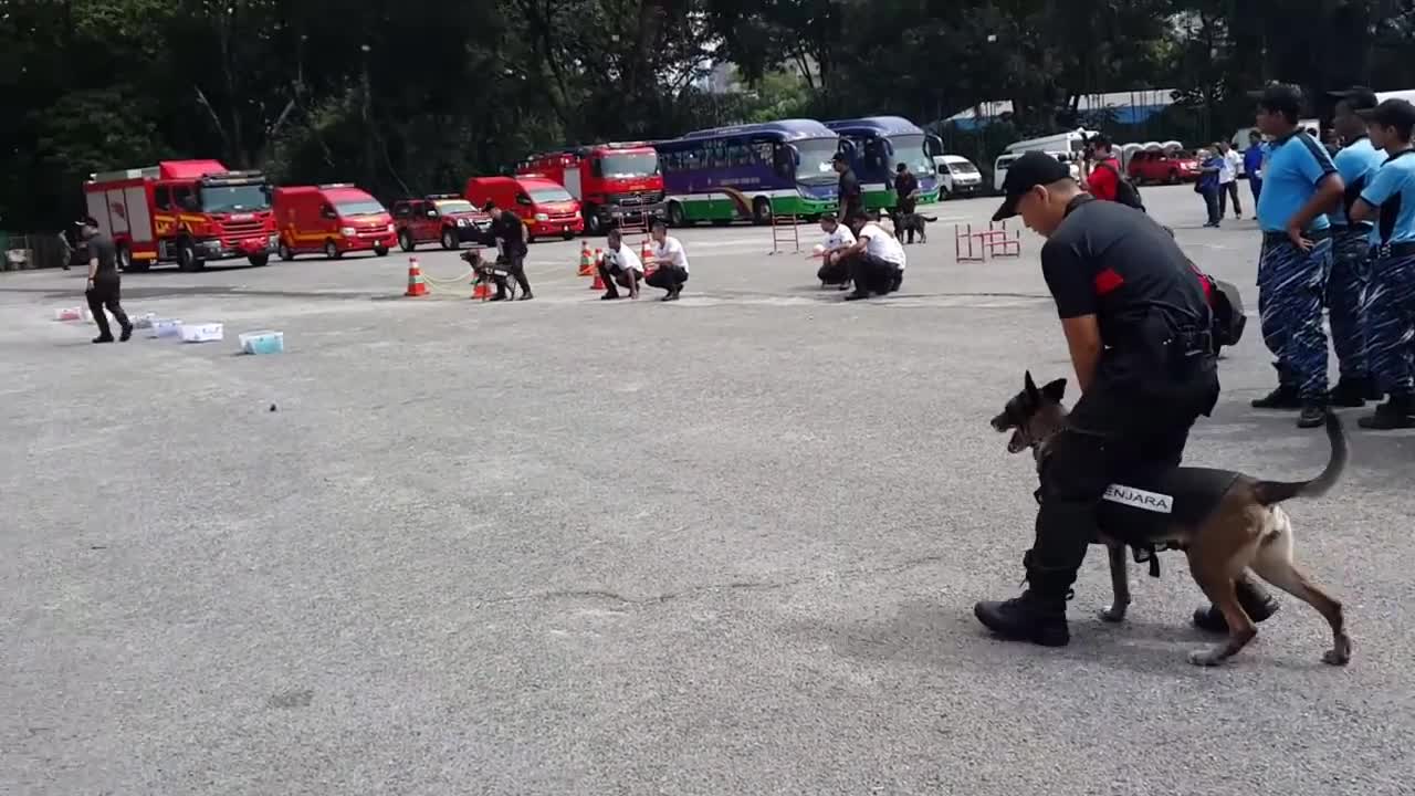 Kuala Lumpur: Malaysia Police Dog Squad