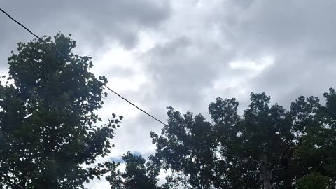 A covering of "clouds"