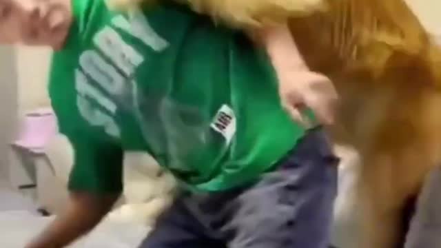 Funny Animals Videos2022 ig-Funniest Cats And Dogs Video