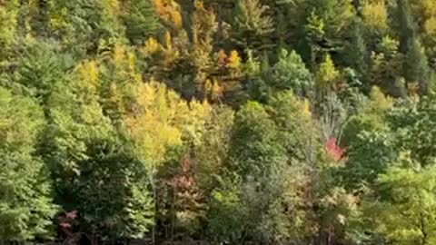 Fall in Jim Thorpe, PA!