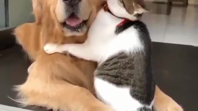 Best Friends