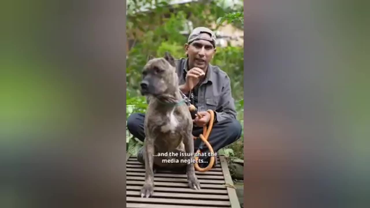 Pitbull se bada khatra - bad se badnaam bura