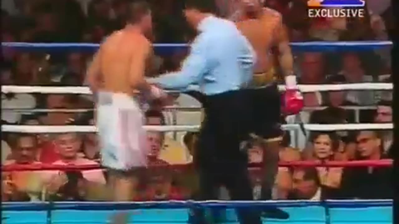 Miguel Cotto vs. Kelson Pinto + Antonio Margarito vs. Daniel Santos (full fights) [2004-09-11]