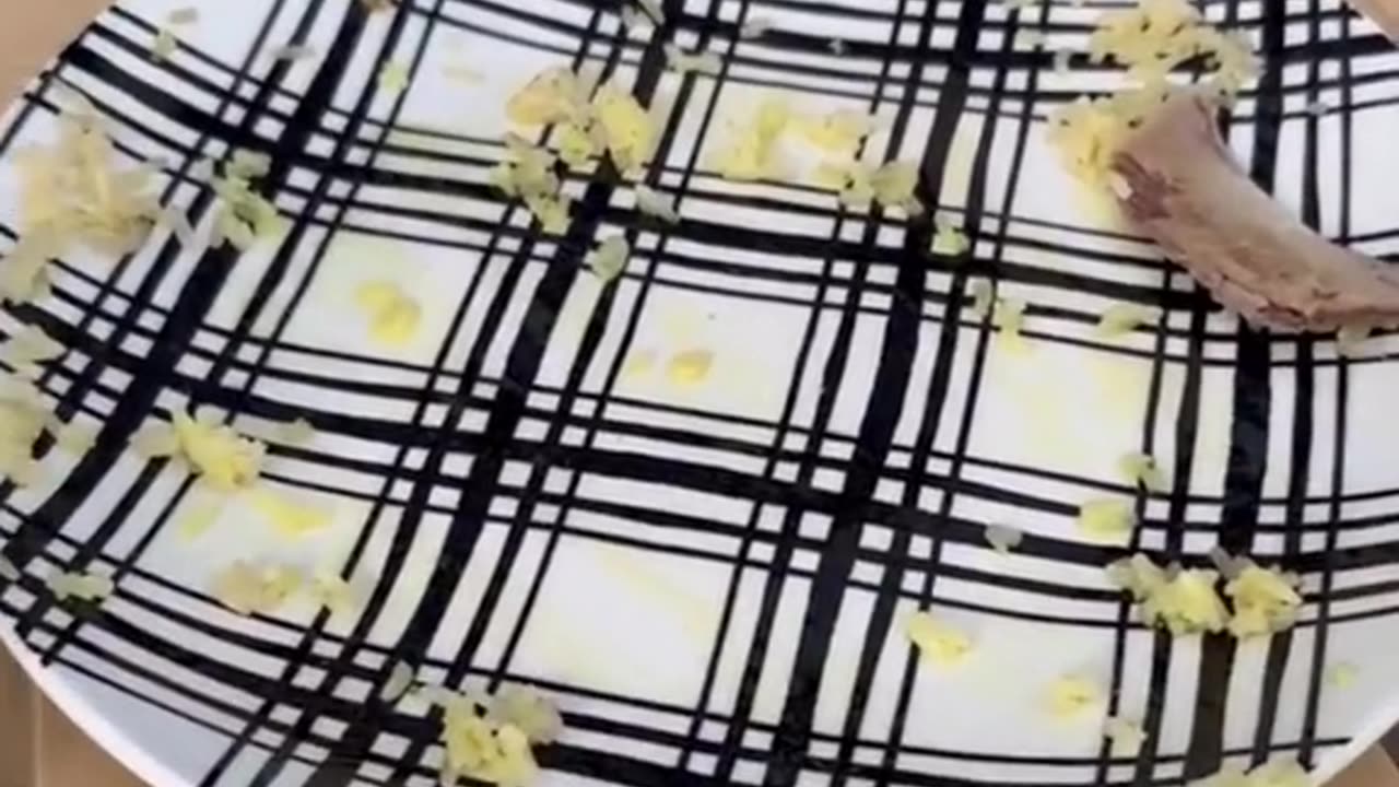 Eating comtition funny videos