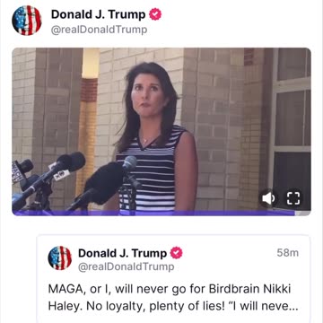 Birdbrain is a Lier 🤥