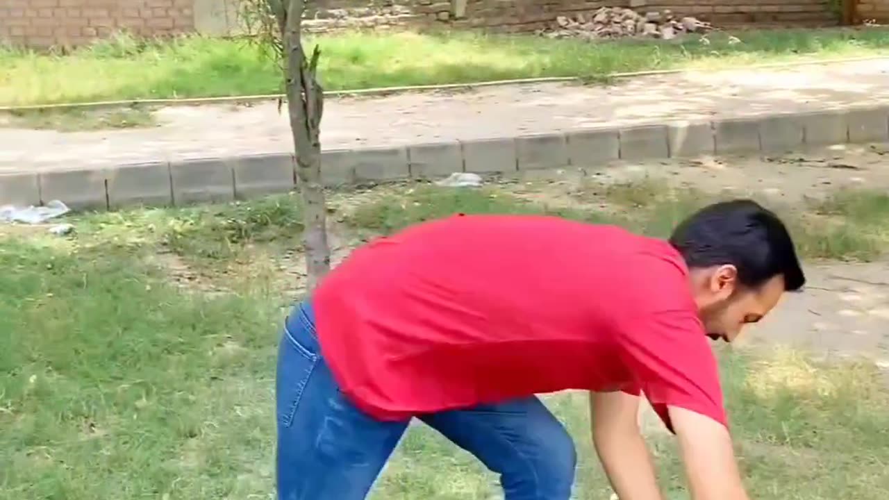 Kuch bi