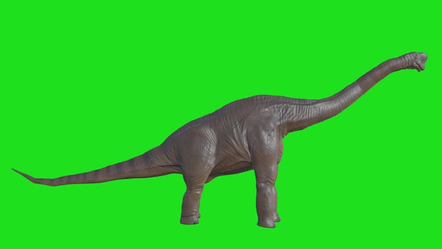 Dinosaur brachiodinosaurs animted