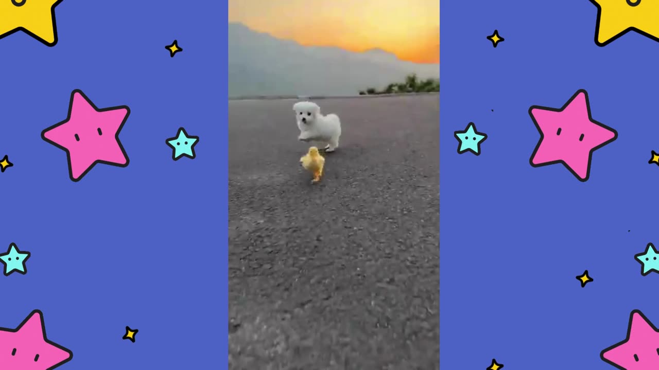 Dog and Duck Frolicking in the Sunset!"