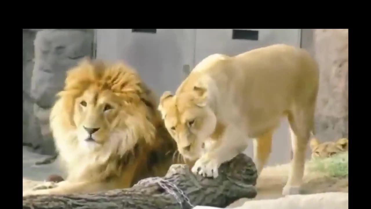 “Jealousy” doesn’t just apply to humans