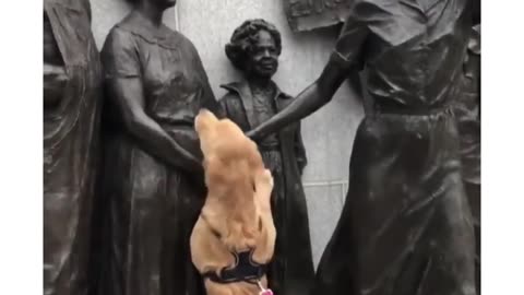 The love of sculpture by dogs