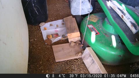 Crazy Movie Style Mousetrap Actually Worked. (YouTube thinks it’s “inappropriate”)
