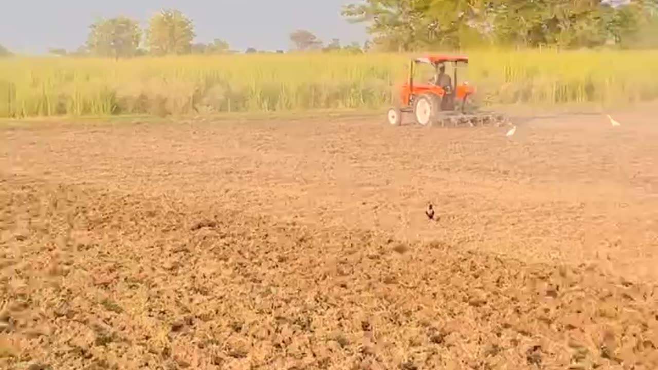 Agricultural Farming #agriculture #farming #news #trendingnews #farmers #preparing #land #cultivation #life