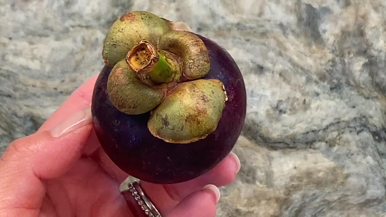 Mangosteen