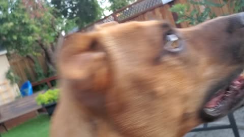 Look at that nasty ball.