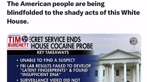 Alphabet agencies rotten to the core