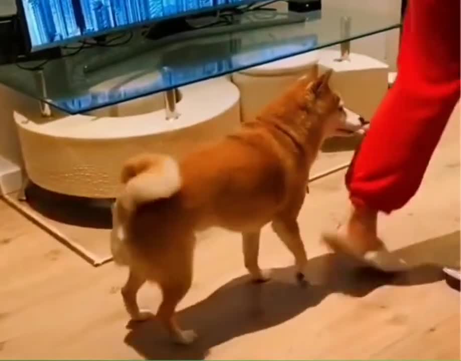 Best Dance