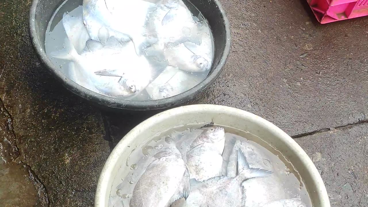 Paradeep Fish market