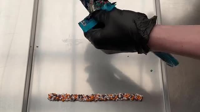 Just as they were talking, a group of armed men came along the road.