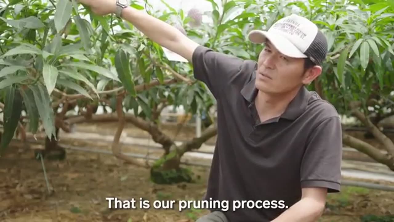 18 Surprising, Billion - Dollar Food industries, Business lnsider
