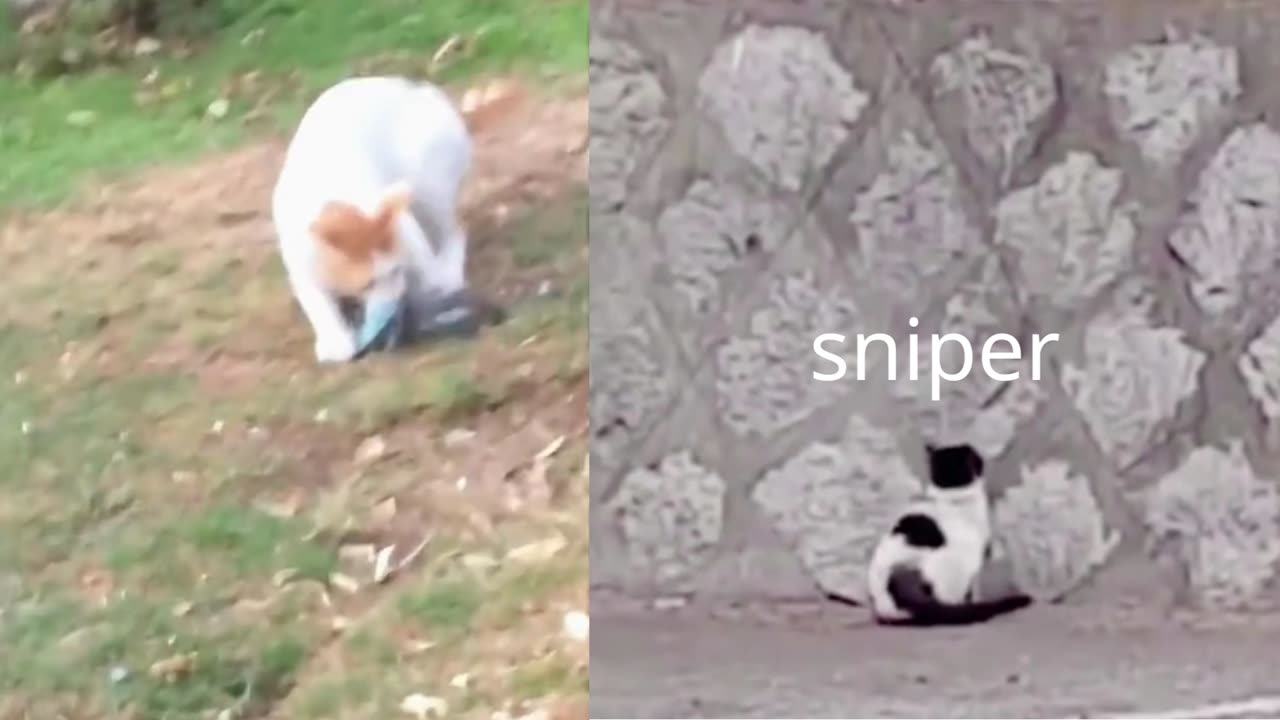 sniper
