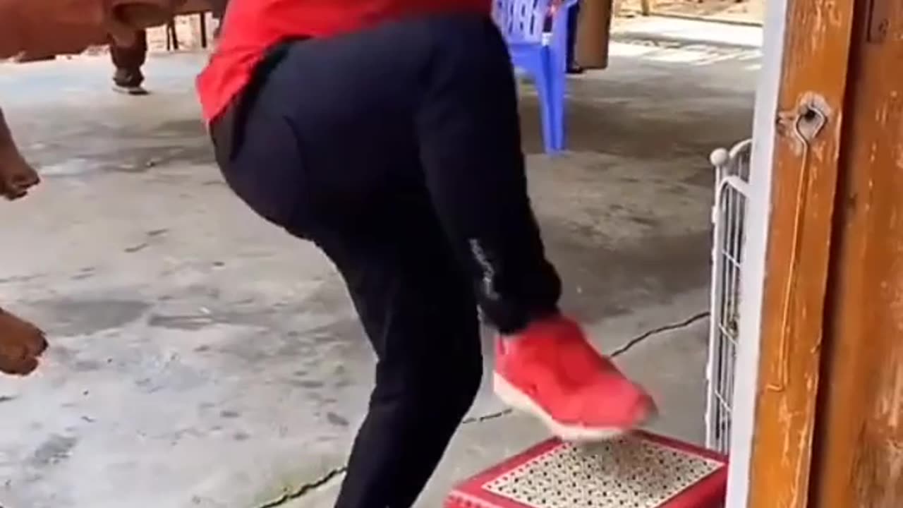Funny video
