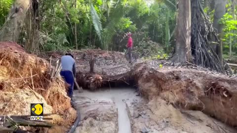 Brazil: Gold miners attack indigenous people | WION Climate Tracker | Latest World English News