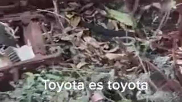 Found an abandoned car.