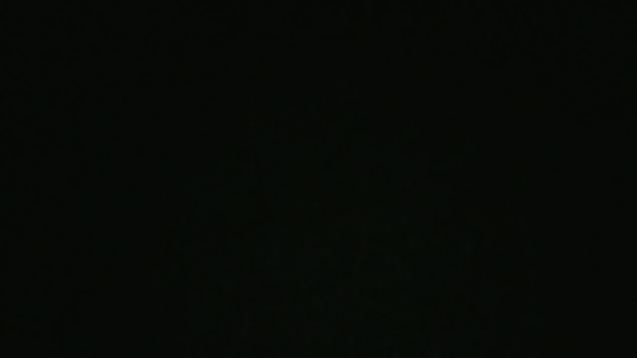 Monday Hyper Mix up of Puppy Mill 😂🤣