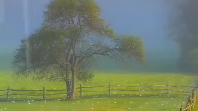 Natural music • Nature Video • Meditation Music • Relaxing Music • Healing