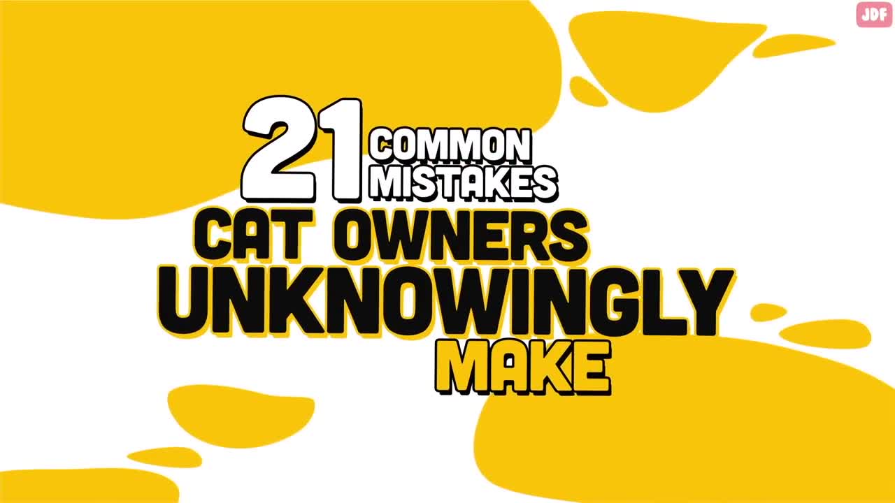 21 Ways You Are Hurting Your Cat Without Realizing-1