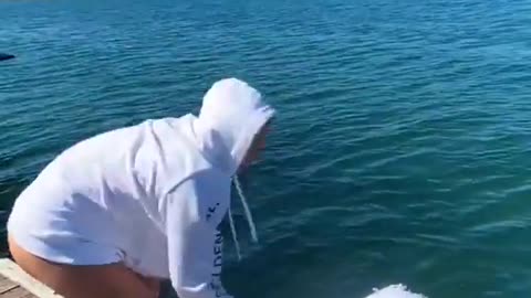 Funny fails// fail army