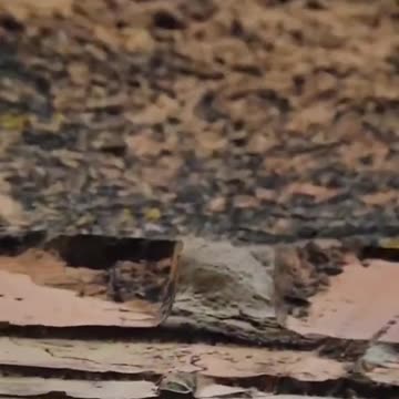 What is a one and a half ton bomb explosion?