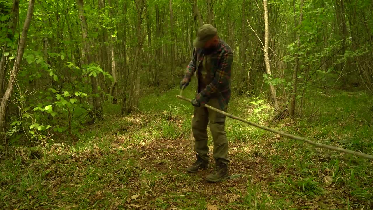 Build a survival shelter in a lonely forest - camp food from natural herbs